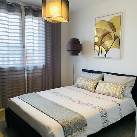 St Louis Appartement Roanne Exterior foto