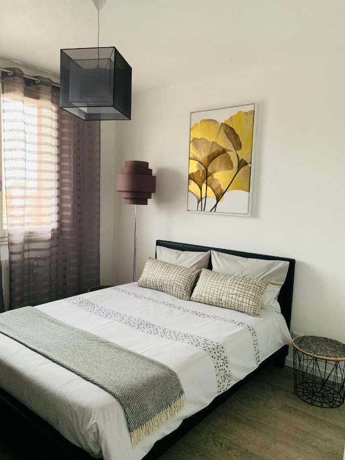 St Louis Appartement Roanne Exterior foto